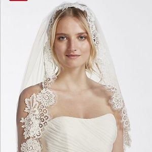 COPY - David’s Bridal mid veil with trailing lace
